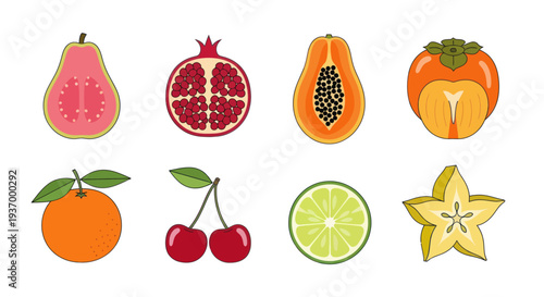 Colorful fruits collection illustration