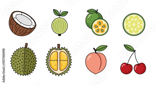Colorful illustration of various tropical fruits