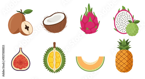 Colorful tropical fruit assortment illustration