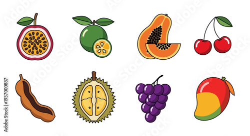 Colorful tropical fruit assortment illustration