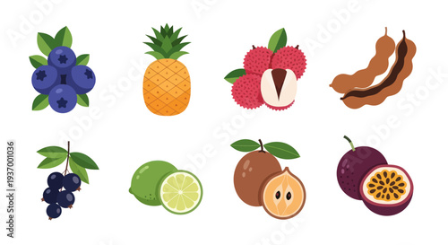 Colorful tropical fruit assortment illustration