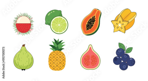 Colorful tropical fruit assortment illustration