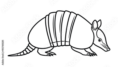 Armadillo Illustration: A detailed outline of an armadillo, showcasing its unique armored shell and distinctive features, perfect for educational materials or creative projects.