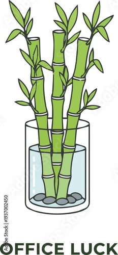 Lucky Bamboo Plant Illustration in Glass Vase with Pebbles and "Office Luck" Text for Workspace Decor