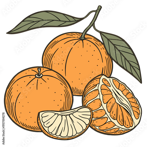 Of three tangerines with green leaves and one peeled