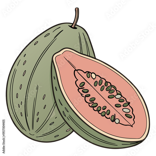 Cut open guava fruit with green skin and pink pulp