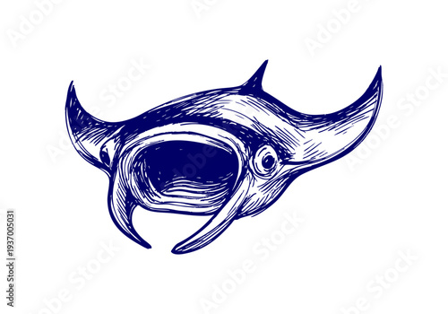 Manta Ray hand drawn simple sketch vector illustration