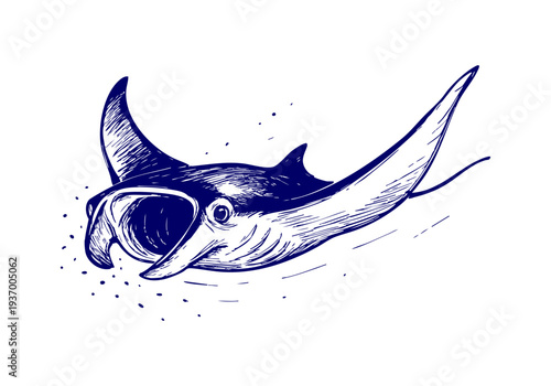 Manta Ray hand drawn simple sketch vector illustration