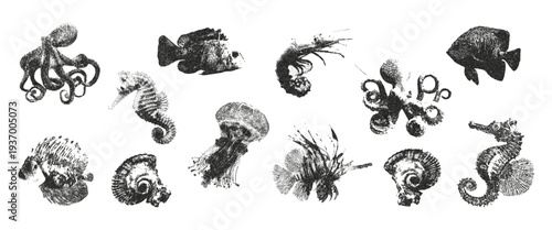 Retro ocean elements with a photocopy effect for creating collages. Sea fish and seashell with grunge punk gritty texture. Stipple effect vector illustration in a grayscale dot design of punk.