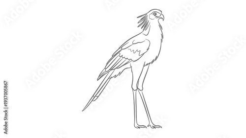 Secretary Bird in Detailed Illustration: A meticulously crafted illustration captures the regal posture and unique features of a secretary bird.