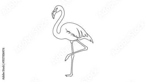Elegant Flamingo Silhouette: A graceful flamingo stands in serene solitude, its silhouette a testament to natural beauty and avian elegance.