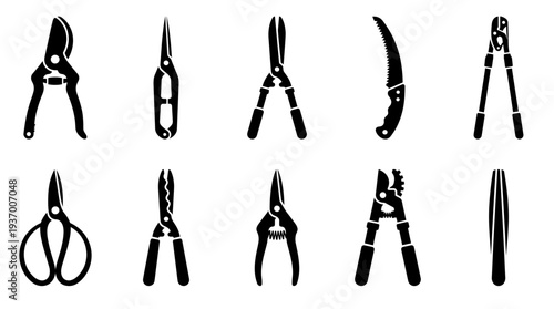 Professional gardening pruning tools set including bypass shears hedge trimmers branch saw and loppers for landscaping and horticulture maintenance