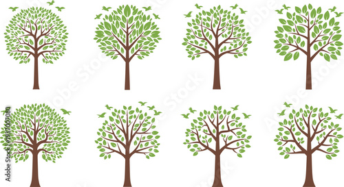 Canvas Print Collection of green leafy trees with brown trunks and flying birds silhouettes i