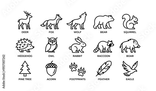 Outline illustrations of forest animals and nature elements