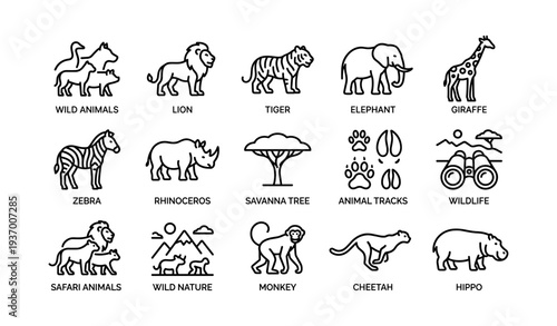 Wild animals vector art featuring lions, tigers, elephants, and more