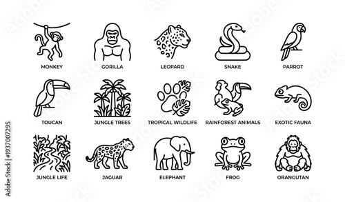 Jungle animals outline icons: monkey, gorilla, leopard, snake, parrot, toucan, elephant