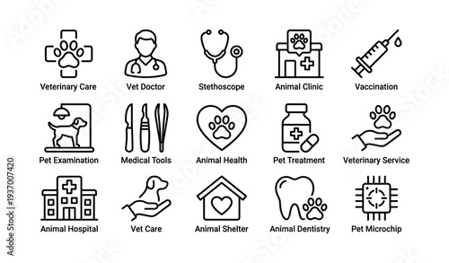 Veterinary care icons: vet doctor, pet examination, health services, animal clinic tools