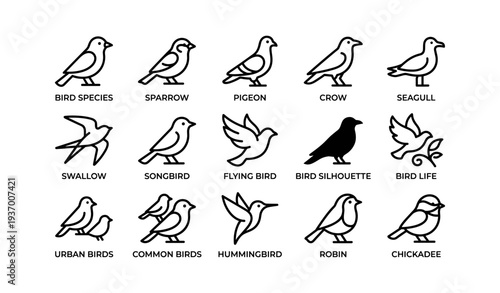 Bird illustrations including sparrow, pigeon, and hummingbird icons