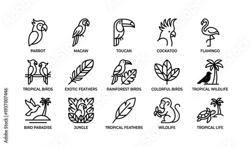 Outline icons of tropical birds and wildlife featuring parrot, toucan, flamingo, and jungle elements