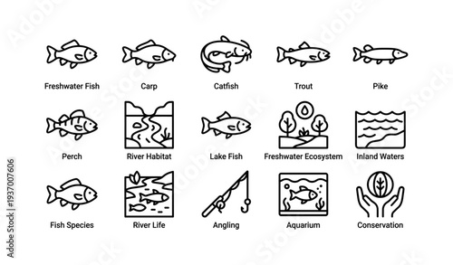 Freshwater fish and habitats: carp, catfish, trout, pike, perch icons