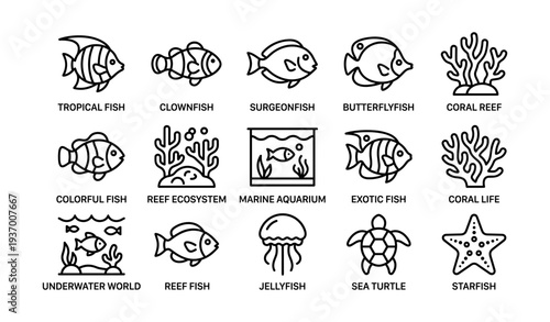 Tropical fish and coral reef outlines: marine life icons collection