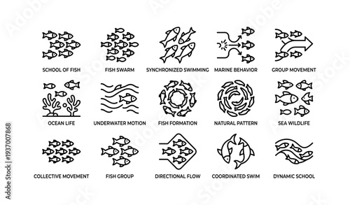 Collection of fish icons depicting synchronized swimming and marine behavior