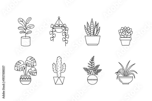 Set of minimalist indoor potted plants line art icons including monstera cactus snake plant and succulent isolated on white background for interior design