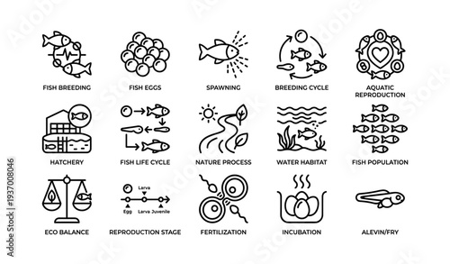 Fish breeding process icons: eggs, spawning, hatchery, aquatic reproduction cycle