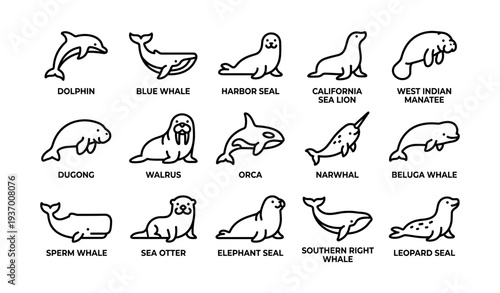 Marine mammal icons: whales, seals, dolphins, and manatees