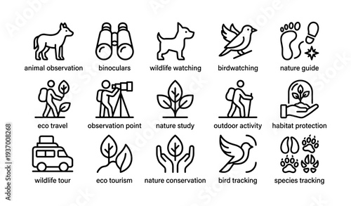 Wildlife observation icons set featuring animals and nature activities
