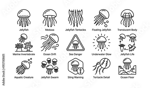 Jellyfish icons set illustrating marine life and ocean safety warning signs