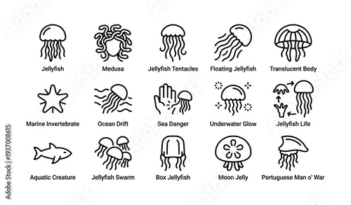 Jellyfish icons collection: medusa, tentacles, ocean creatures, moon jelly, sea life
