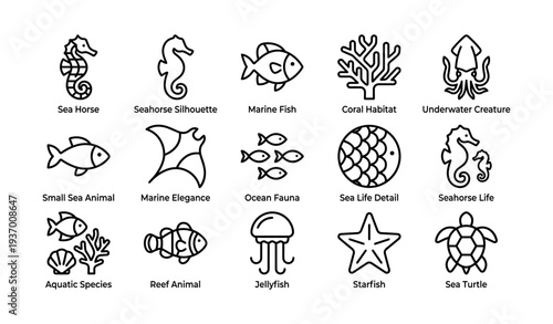Marine icons featuring sea horse, fish, coral, squid, and turtle illustrations