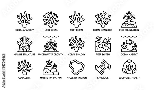Coral types and marine ecosystem icons: anatomy, growth, reefs, and ocean habitats