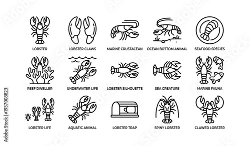 Lobster icons collection: marine crustaceans and sea life illustrations