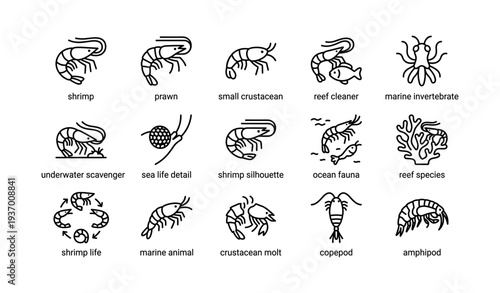 Marine invertebrate icons: shrimp, prawns, crustaceans, and reef species