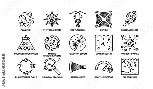 Plankton and marine ecosystem icons illustrating aquatic microorganisms