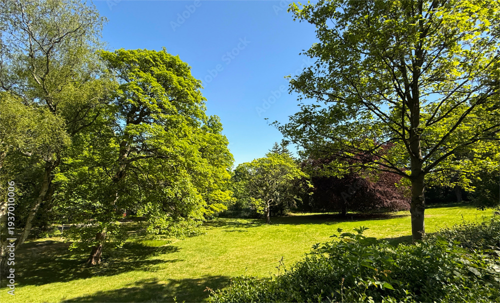 Naklejka premium A tranquil scene where lush green trees rise against a bright blue sky. Sunlight drifts through the canopy, casting soft, dappled shadows across an open sweep of grass by Keighley Road, Bradford, UK
