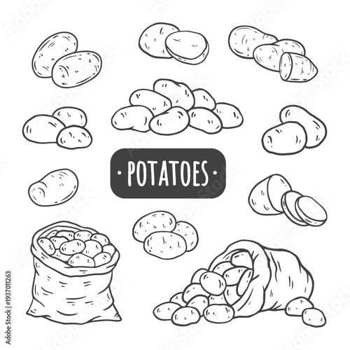 A collection of hand drawn potato. Raw whole potatoes, slices of potatoes and a sack of potatoes. Potato in sketch style for packaging and prints, for store and farm. Vector illustration of food