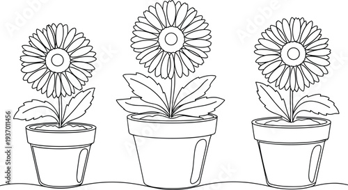 Black and white potted flower illustration, daisy-like bloom vector artwork, botanical plant drawing for coloring, educational nature design, decorative floral stock content