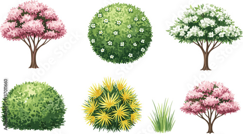 Botanical plant vector illustration with trees, bushes, grass, floral artwork design, landscaping nature elements, decorative greenery stock content for education