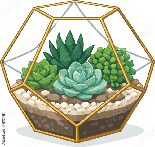 Modern Geometric Glass Terrarium with Assorted Succulents and Decorative Stones for Home Decor