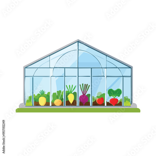 Vegetables growing inside a glasshouse vector illustration
