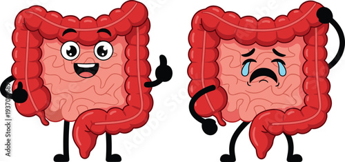 Cartoon vector illustration of healthy and unhealthy human intestines with anthropomorphic expressions, medical awareness design, digestive health concept artwork