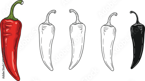Chili pepper vector illustration, red realistic style, black and white outline versions, silhouette design, spicy vegetable artwork for culinary decoration