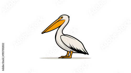 A cartoon-style illustration of a pelican in profile, with a long beak and off-white plumage
