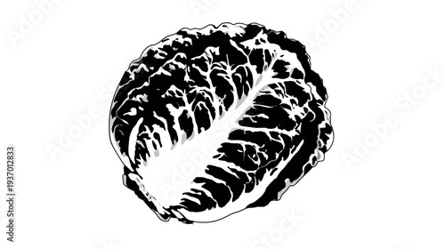A grayscale, stylized illustration of a head of lettuce, with intricate detailing