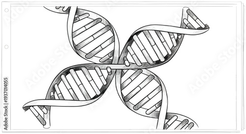 DNA double helix genetic scientific sketch art