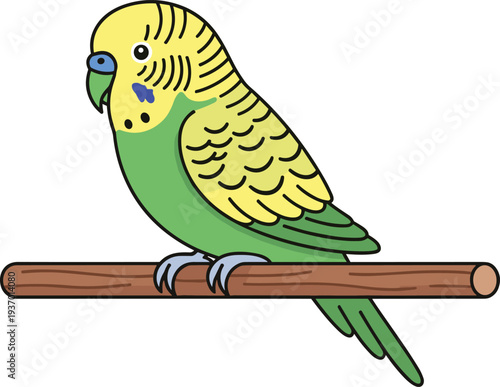 Colorful vector illustration of budgerigar parakeet perched on wooden branch with yellow head, green body, blue cheek patches, and detailed feathers