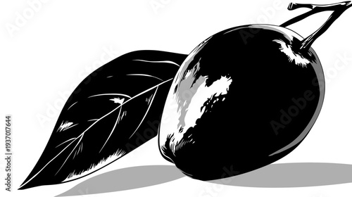 A black and white illustration of an olive with leaves and a stem. It rests with a shadow